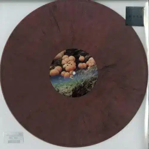 ARTSTRANSPARENT010 Skorg EP